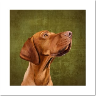 Vizsla portrait Posters and Art